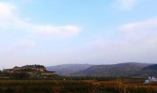 三国志战略版魏骑兵